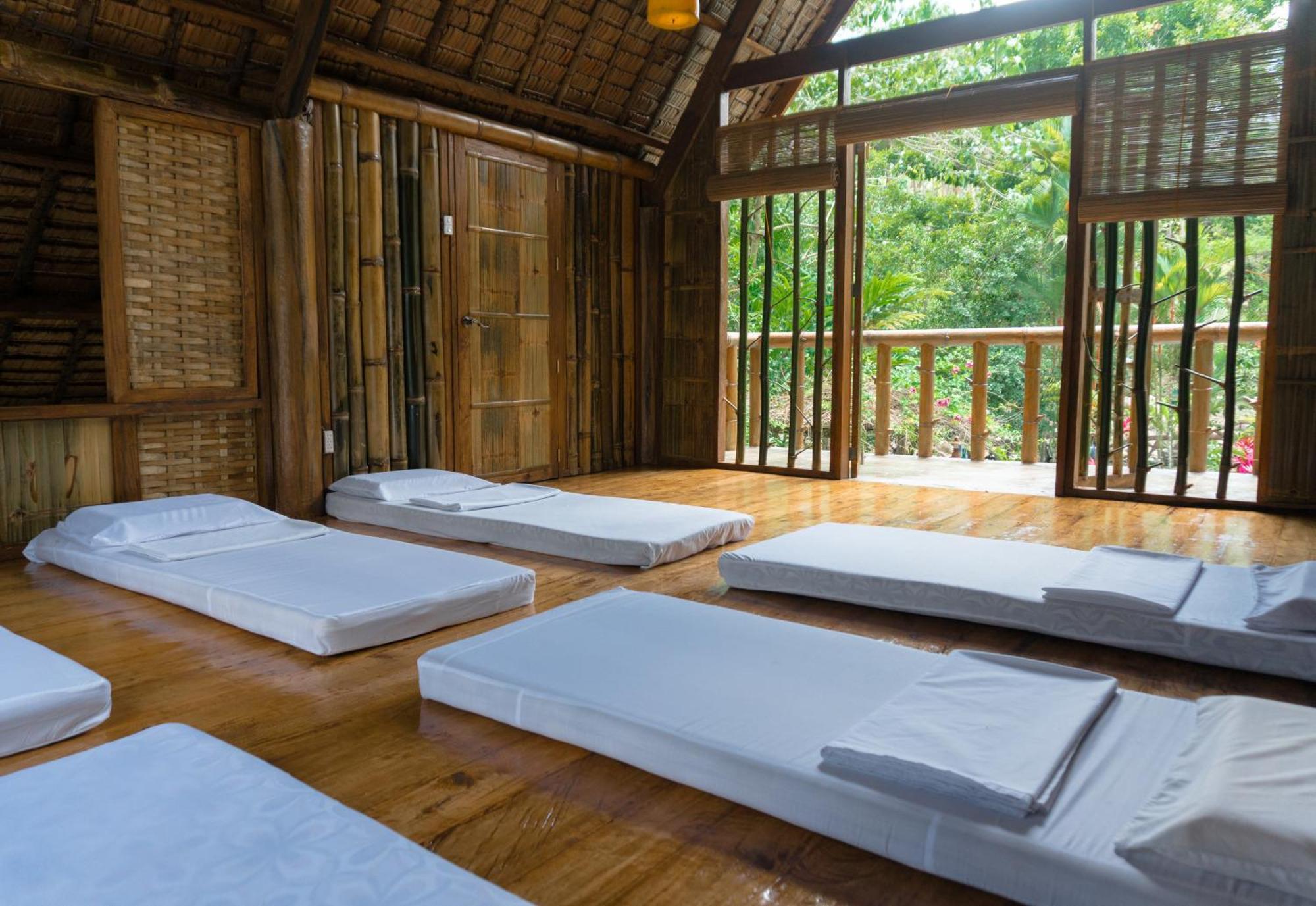 Forest Camp Valencia  Luaran gambar